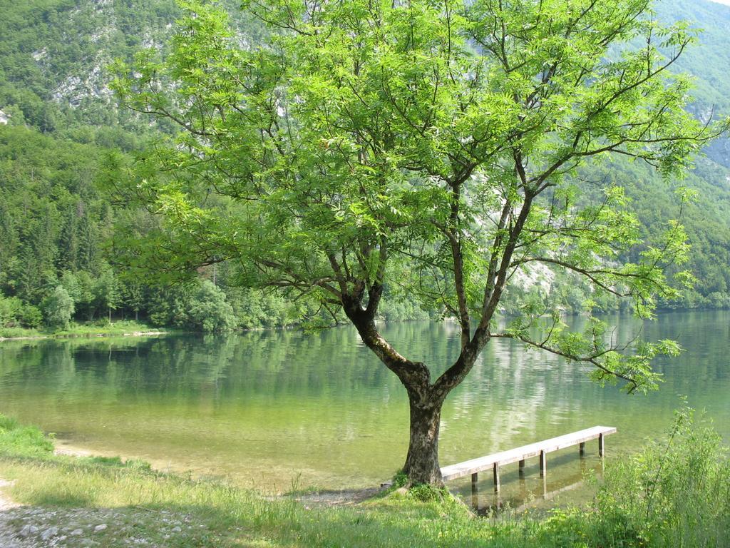 Apartma Jeglic Bohinj Zimmer foto